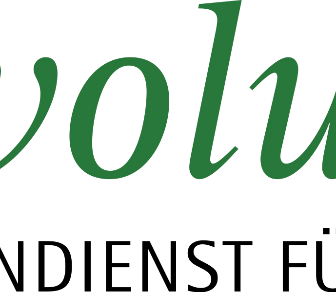 jesuit volunteers: Blogbeiträge